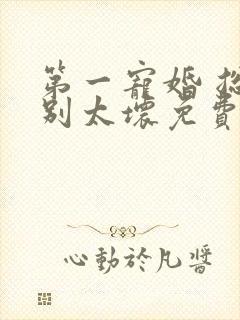 第一宠婚 总裁别太坏免费阅读