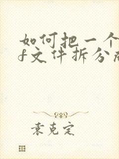 如何把一个pdf文件拆分成多个文件