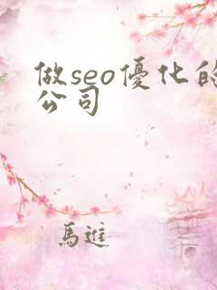 做seo优化的公司