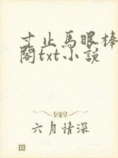 寸止马眼棒笔趣阁txt小说
