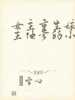 女主重生嫁给男主他爹的小说