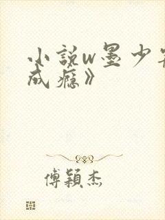 小说w墨少宠妻成瘾》