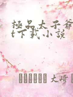 极品太子爷txt下载小说