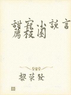甜宠小说言情推荐校园