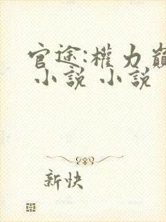 官途:权力巅峰 小说 小说