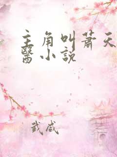 主角叫萧天的神医小说