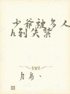 少爷被多人玩弄h到失禁