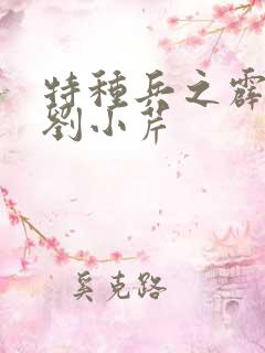 特种兵之霹雳火刘小芹