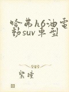 哈弗h6油电混动suv车型