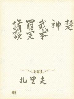 修罗武神楚枫小说完本