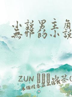 小说男主角叫柳无邪的小说