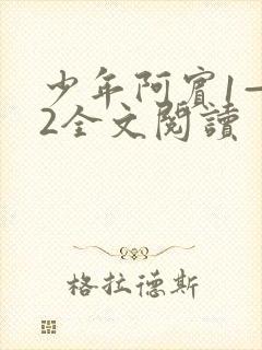 少年阿宾1—72全文阅读