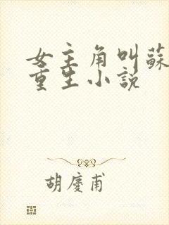 女主角叫苏离的重生小说