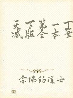 天下第一丁无删减版全本笔趣阁