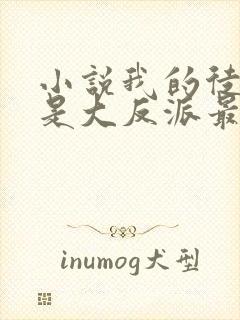 小说我的徒弟都是大反派最新章节