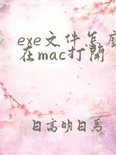 exe文件怎么在mac打开