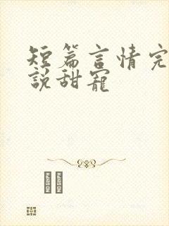 短篇言情完结小说甜宠