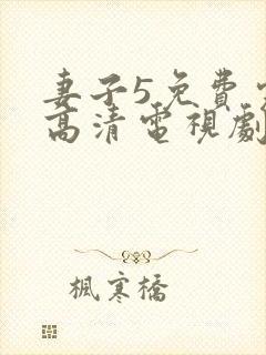 妻子5免费完整高清电视剧在线