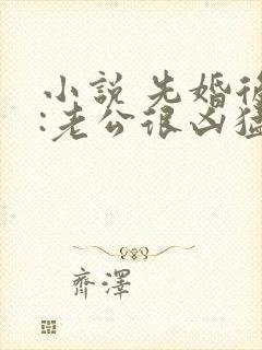 小说 先婚后爱:老公很凶猛