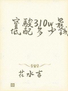 宝骏310w最低配多少钱