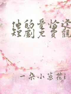 他的爱恰逢其时短剧免费观看
