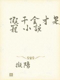 假千金才是真团宠 小说