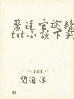 医道官途精校版txt小说下载