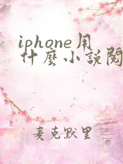 iphone用什么小说阅读器好