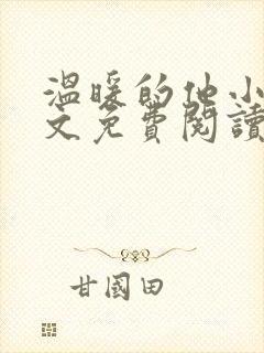 温暖的他小说全文免费阅读无弹窗