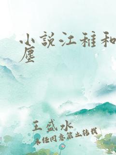 小说江稚和沈卿尘