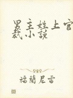 男主姓上官的总裁小说