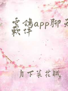 云鸽app聊天软件