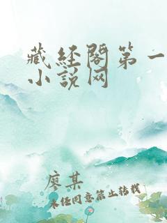藏经阁第一版主小说网