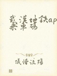 武汉地铁app乘车码