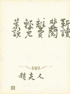 叶轻离裴靳墨小说免费阅读无弹窗