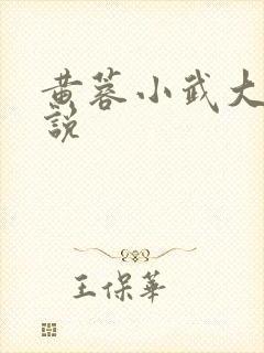 黄蓉小武大武小说