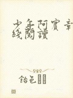 少年阿宾章节在线阅读