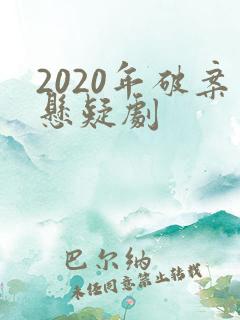 2020年破案悬疑剧