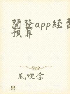 开发app经费预算