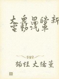 大众思皓新能源电动汽车