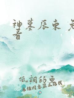 神墓辰东 免费看