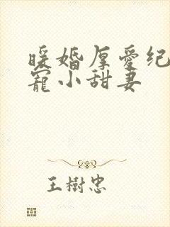 暖婚厚爱纪总独宠小甜妻