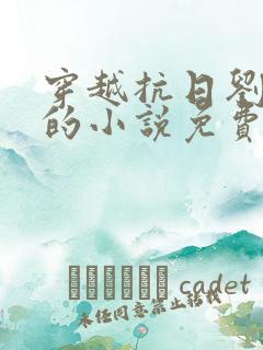 穿越抗日刘正风的小说免费阅读