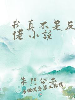 我真不是反派大佬 小说