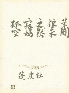 孤寂之狼叶凡司空嫣然未删减txt