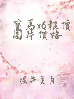 宝马x6报价及图片价格