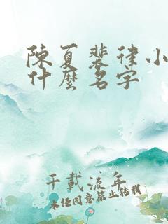 陈夏裴律小说叫什么名字