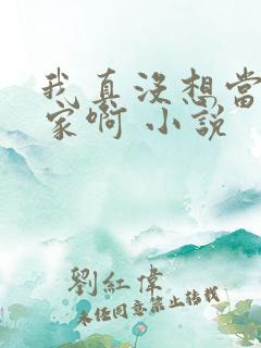 我真没想当训练家啊 小说