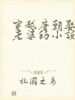 穿越唐朝娶一群老婆的小说