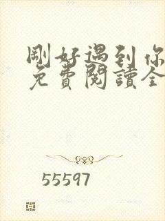 刚好遇到你小说免费阅读全文